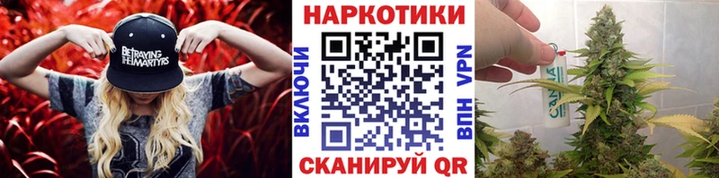 Сколько стоит Екатеринбург Галлюциногенные грибы КОКАИН МЕФ Канабис ГАШ Альфа ПВП