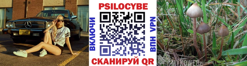 Галлюциногенные грибы Magic Shrooms  блэк спрут зеркало  Екатеринбург 